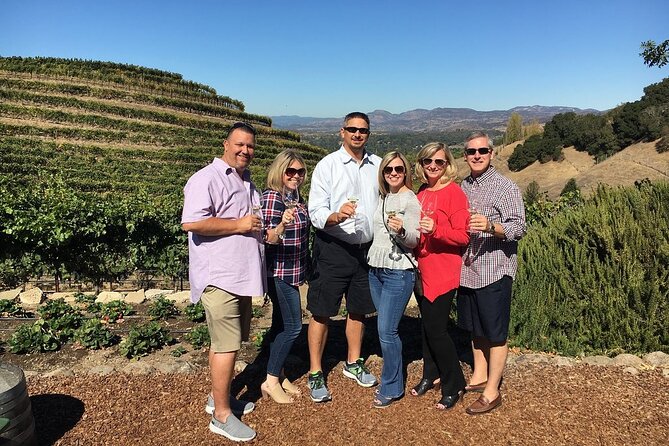6hr | 12 Passenger Mercedes Limo Sprinter Bus - The Itinerary: Wineries, Lunch, and Vineyard Views