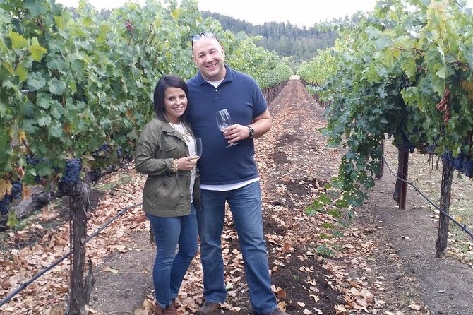 6hr | 12 Passenger Mercedes Limo Sprinter Bus - The Meeting Point and Timing: Easy Access in Napa