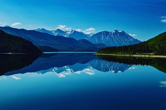 6hr Custom Private Tour of Ketchikan (4 People) Wildlife + More - Exploring Ketchikans Historical and Cultural Sights