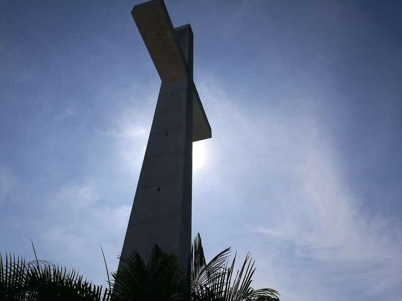 .6Hr Tour Diving Show Baby Turtle Release & All Attractions - Discover the Highlights of the 6-Hour Acapulco Tour with Turtle Release and Attractions