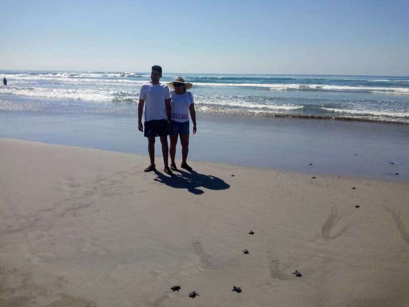 .6Hr Tour Diving Show Baby Turtle Release & All Attractions - Key Points