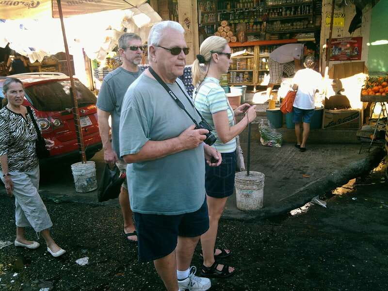 .6Hr Tour Diving Show Baby Turtle Release & All Attractions - Flexibility and Additional Details