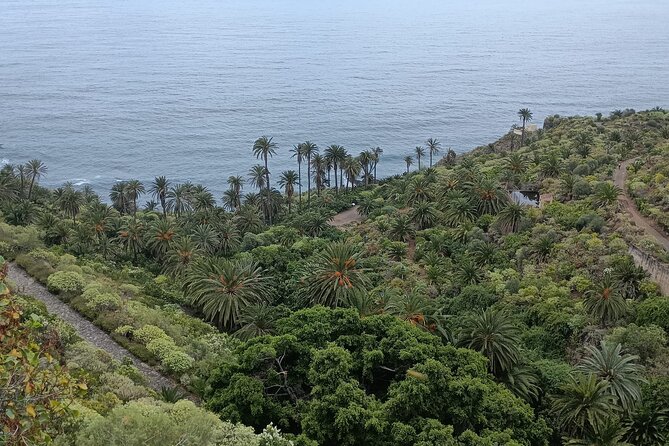 6hrs Private Tour in North Coast of Tenerife - Charco del Viento: A Volcanic Natural Bay in Santa Catalina