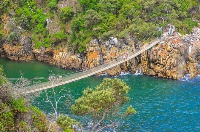 7-Day Garden Route Safari Adventure from Cape Town - Discovering Knysna’s Iconic Landmarks and Wildlife Centers