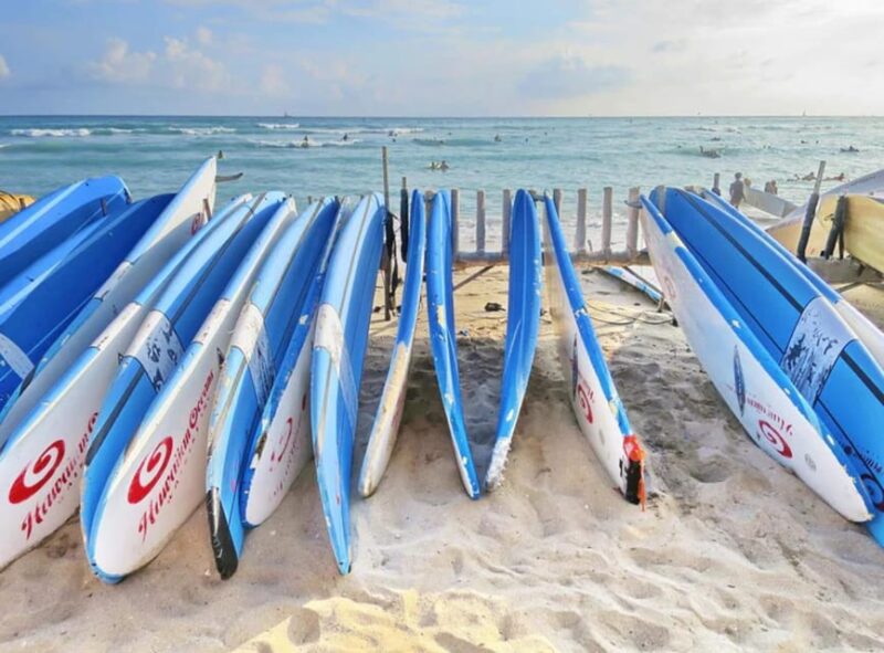 7 Day Hawaii Tour! - Day 5: Encountering Wildlife and Local Cuisine