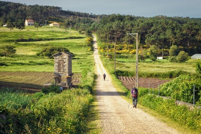 7-Day Portuguese Camino de Santiago Tour from Tui - Exploring Tui: The Starting Point of the Camino