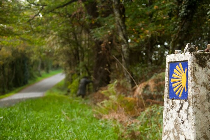 7-Day Portuguese Camino de Santiago Tour from Tui - Padrón and Literary Heritage