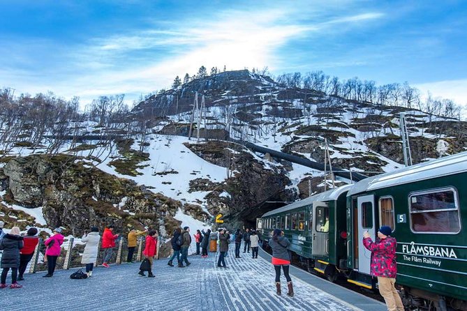 7-Day Scenic Scandinavian Tour from Oslo exploring Denmark, Sweden and fjords in Norway - Wrapping Up in Oslo’s Cultural and Artistic Treasures