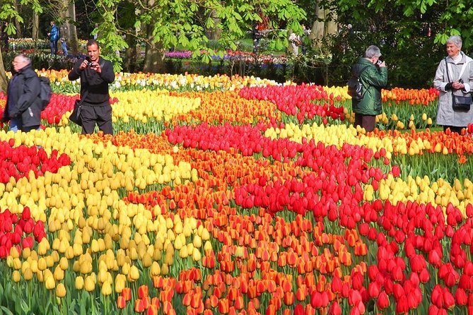 7-Day Taste of Central Europe Tour to Paris, Amsterdam, Brussels and more! - From the Canals of Amsterdam to Tulip Gardens