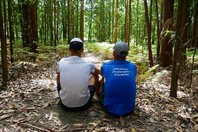 7-Day Tour of the French Way of Santiago from Sarria - Easing into Santiago: O Pedrouzo and Urban Comforts