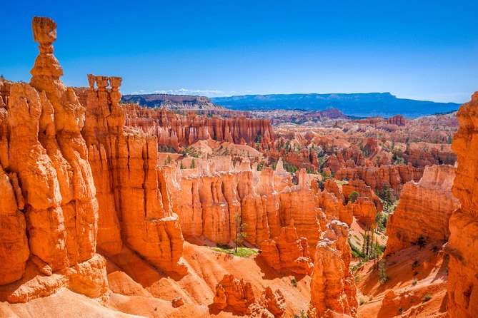 7-Day: Zion, Bryce, Monument Valley, Arches and Grand Canyon Tour - Visiting Arches National Park and Canyonlands