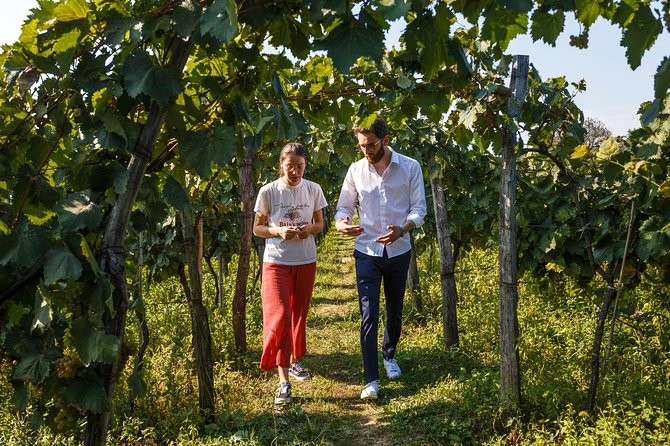 7 Days Grand Georgian Winter Tour From Kutaisi - Potential for Ideal Winter Sightseeing in Georgia