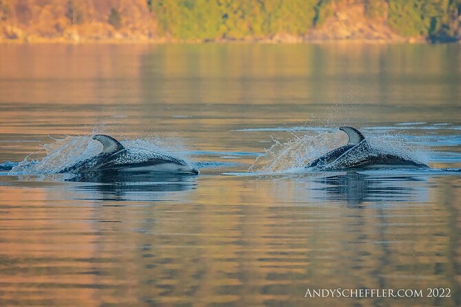 7 Hour Big Animal Encounter - The Meeting Point and Departure Details