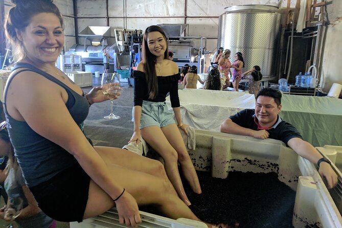 7 Hour Private Santa Barbara Wine Tour - Unique Stops: Danish Town and Ostrich Farm