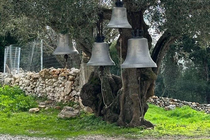 7 Hour Shared 4x4 Off Road Experience in Zakynthos - Key Points