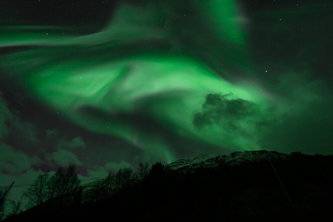7 hours Tromsø Aurora Tour: Photos, snacks & warm drinks included - Tromsø’s Northern Lights Hunting in a Big Bus
