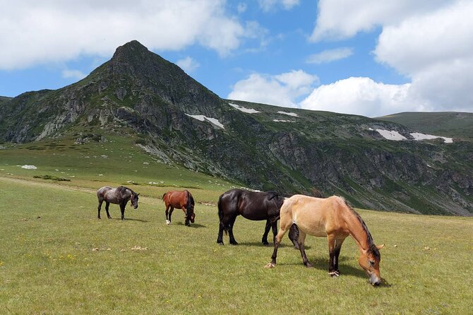 7 Rila Lakes and Rila Monastery Small Group Day tour from Sofia - The Value of This Day Trip