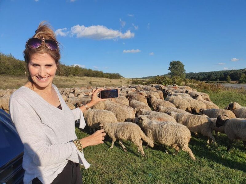 7h Dracula's Castle Private Tour from Bucharest - Fast Tour - Discover Dracula’s Castle in a 7-Hour Private Tour from Bucharest