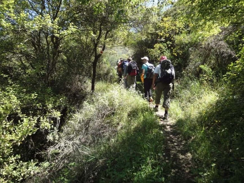 8-day Archaeology & Activity Holiday in Greece - Logistics, Group Size, and Practical Tips