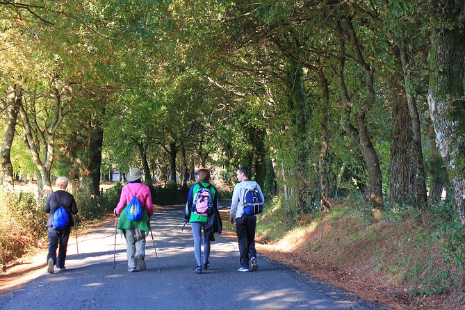 8-Day Camino Frances Pilgrimage Tour from Sarria to Santiago - 2nts Santiago - Key Points