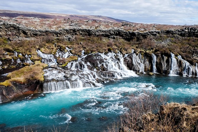 8-Day Small Group Tour Around Iceland in Minibus from Reykjavik - Explore Iceland’s East Fjords and Encounter Local Wildlife