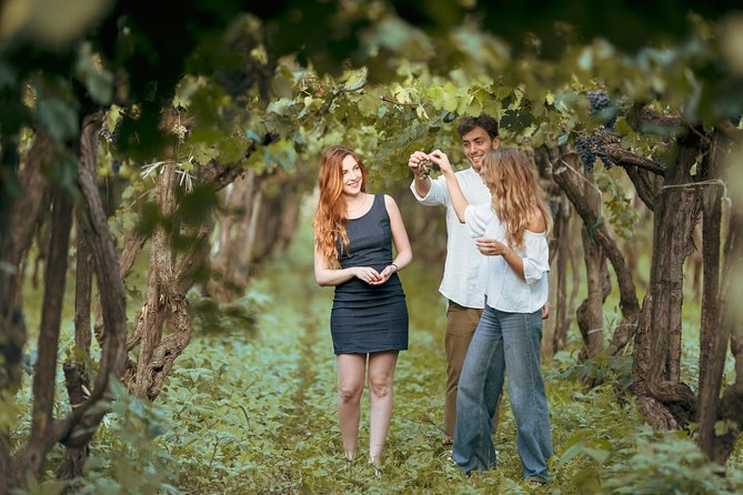 8 Days Small Group Food & Wine Tour of Sicily (Max 8 Guests) - Exploring Mount Etna’s Villages and Volcanic Wines