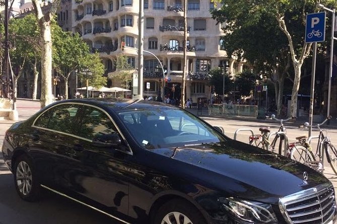 8-Hour Barcelona Private Tour - The Artistic Marvel of Park Güell and Casa Vicens