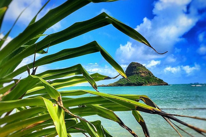 8 Hour Circle Island Jeep Tour - Physical Requirements and Accessibility