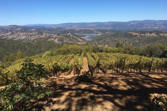 8-Hour Exclusive Wine Tour Experience for up to 6 Guests / Napa-Sonoma - Booking and Availability