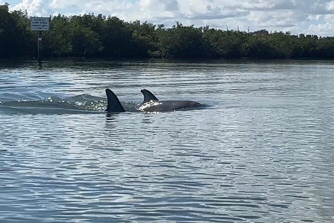 8-Hour Jungle Tour and Lagoon Passage to the Ocean in Fort Pierce - Premium Equipment and Comfort Features
