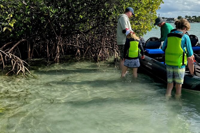 8-Hour Jungle Tour and Lagoon Passage to the Ocean in Fort Pierce - The Distinctive Features of This Tour in Fort Pierce