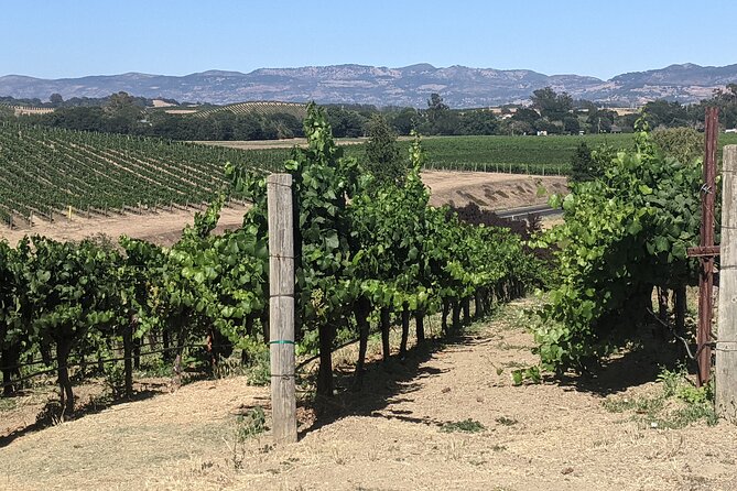 8 Hour Napa and Sonoma Valley tour - Practical Details and Booking Considerations