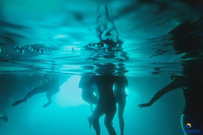 8 Hour Private Sea Safari Speedboat Dubrovnik - Logistics: Meeting Point and Timing