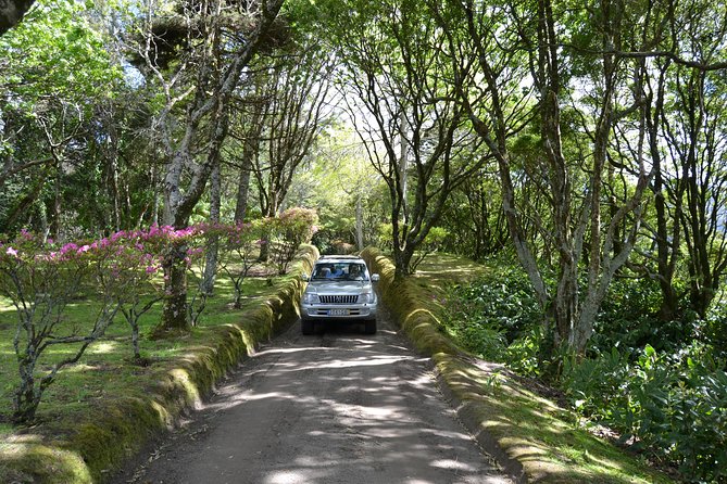 8-Hour Private Tour in 4x4 Vehicle from Ponta Delgada - Discover the Azores with a Private 4x4 Adventure from Ponta Delgada