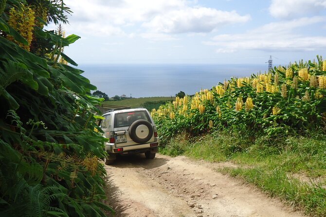 8-Hour Private Tour in 4x4 Vehicle from Ponta Delgada - Guides Who Make the Experience Special