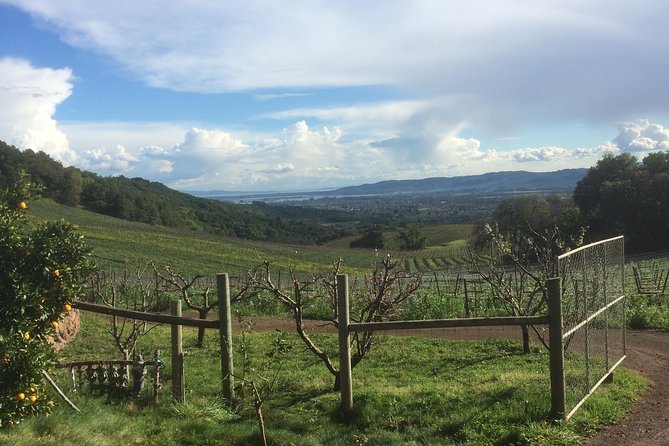 8-Hour Private Wine Tour Experience for up to 6 Guests - San Francisco to Sonoma - Savoring Italian Flavors at VJB Cellars in Kenwood