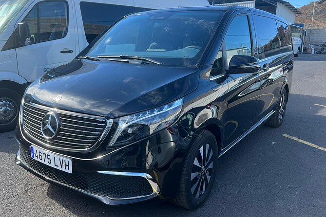 8-Hour Rental in a Luxury Car and Driver/Official Private Guide in Tenerife - Key Points