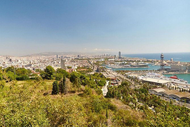 8 hours Barcelona Highlights Private tour - The Benefits of a Private Transport Experience
