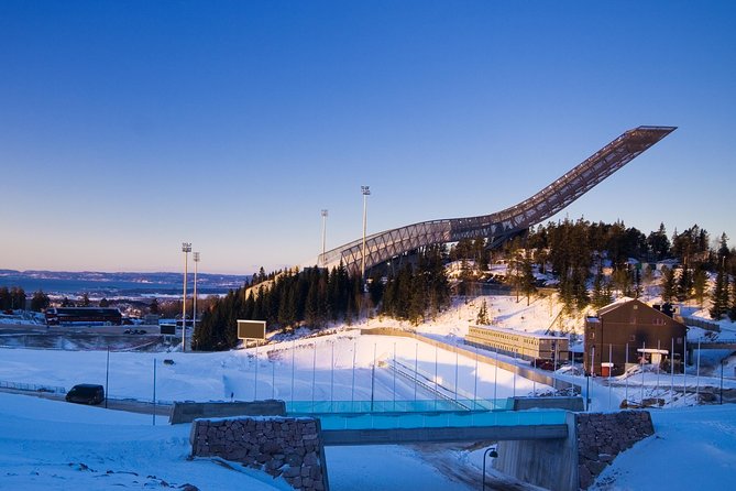 8 hours Full-Day Exclusive Oslo Tailormade Guided Limo Tour - Historic Lunch and Sightseeing at Frognerseteren