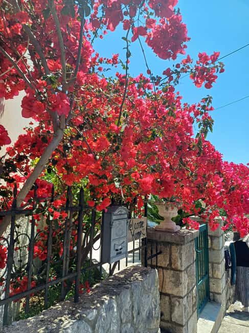 8 hours of Pure Bliss - Private Speedboat Experience - Flexibility and Booking Policies