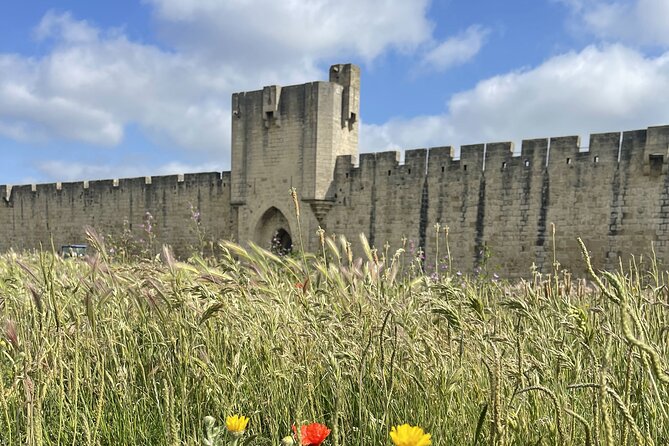 8 Hours Visit to the Camargue and the Salins dAigues-Mortes - Starting Point and Logistics of the Tour