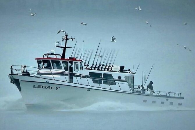 8hr Kenai Fjords Whale Watching Tour w/ 1hr Fishing 16 Passengers - Comfortable, Small-Group Boat for Kenai Fjords Exploration