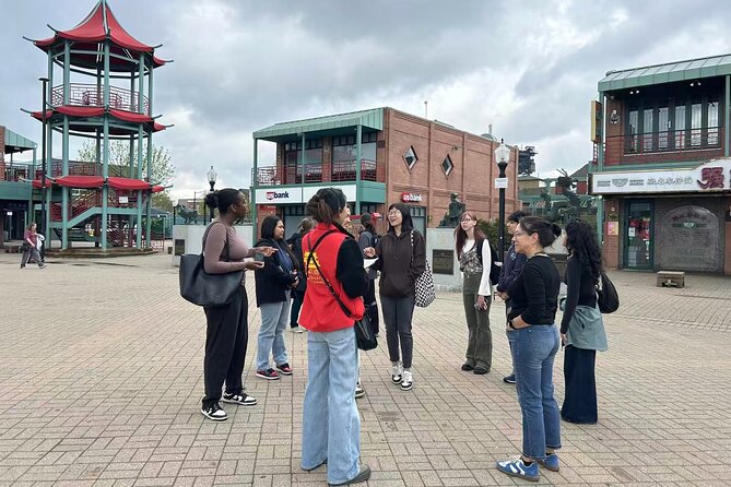 90 minute Chicago's Chinatown History and Culture Tour - Admiring the Nine Dragons Wall