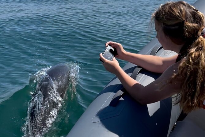 90 Minute Coastal Explorer in Torquay - Key Points