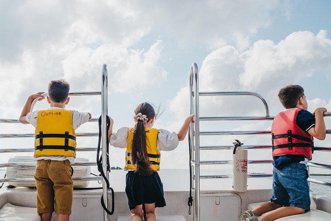 90-Minute Dolphin and Nature Tour of Hilton Head - Exploring Hilton Head’s Salt Marsh Ecosystem