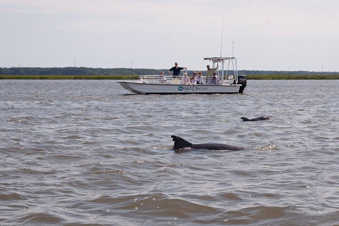 90-Minute Dolphin and Nature Tour of Hilton Head - The Role of the USCG-Licensed Captain