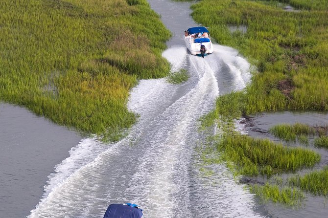 90-Minute Dolphin and Nature Tour of Hilton Head - The Guided Commentary and Educational Value