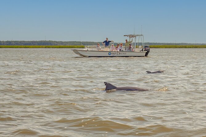 90 Minute Hilton Head Dolphin and Nature Cruise - Captain Dan and Captain CJ: Guides Who Engage and Educate