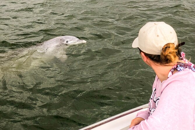 90 Minute Hilton Head Dolphin and Nature Cruise - Wildlife Sightings and Variability
