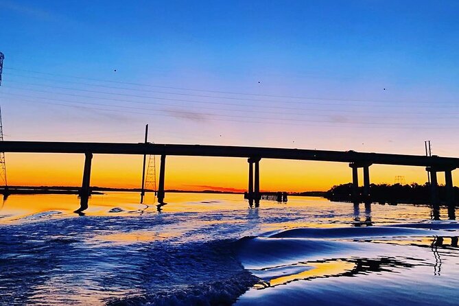90 Minute Hilton Head Dolphin Tour - Starting Point at Broad Creek Marina in Hilton Head Island